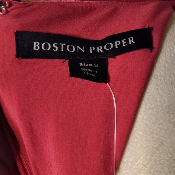 Boston Proper Long Sleeve Pleated Fit And Flare Dress In Blossom Size 6 NWT - Picture 7 of 10